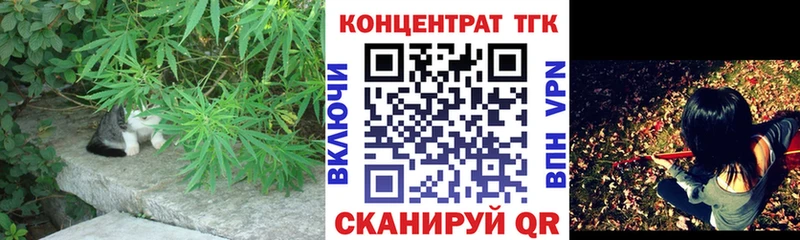 Купить закладки  Сертолово  Дистиллят ТГК THC oil 