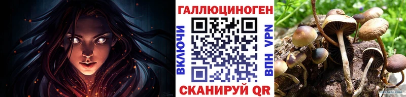 Купить где  Сертолово  Псилоцибиновые грибы Psilocybe 